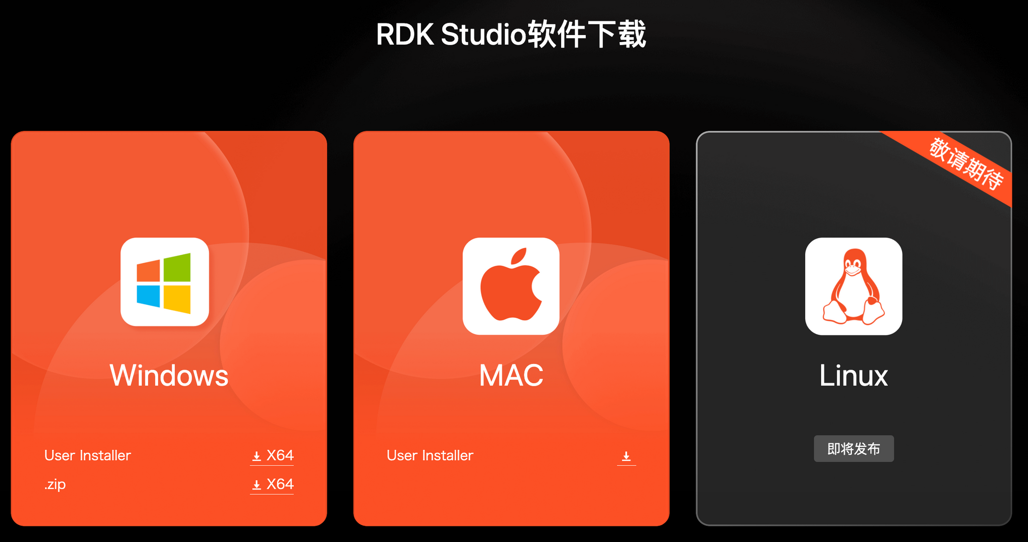 【祝発売!】RDK StudioによるRDK X5のセットアップ【RDK X5 / OriginBot Pro JP 発売記念記事 第三弾】