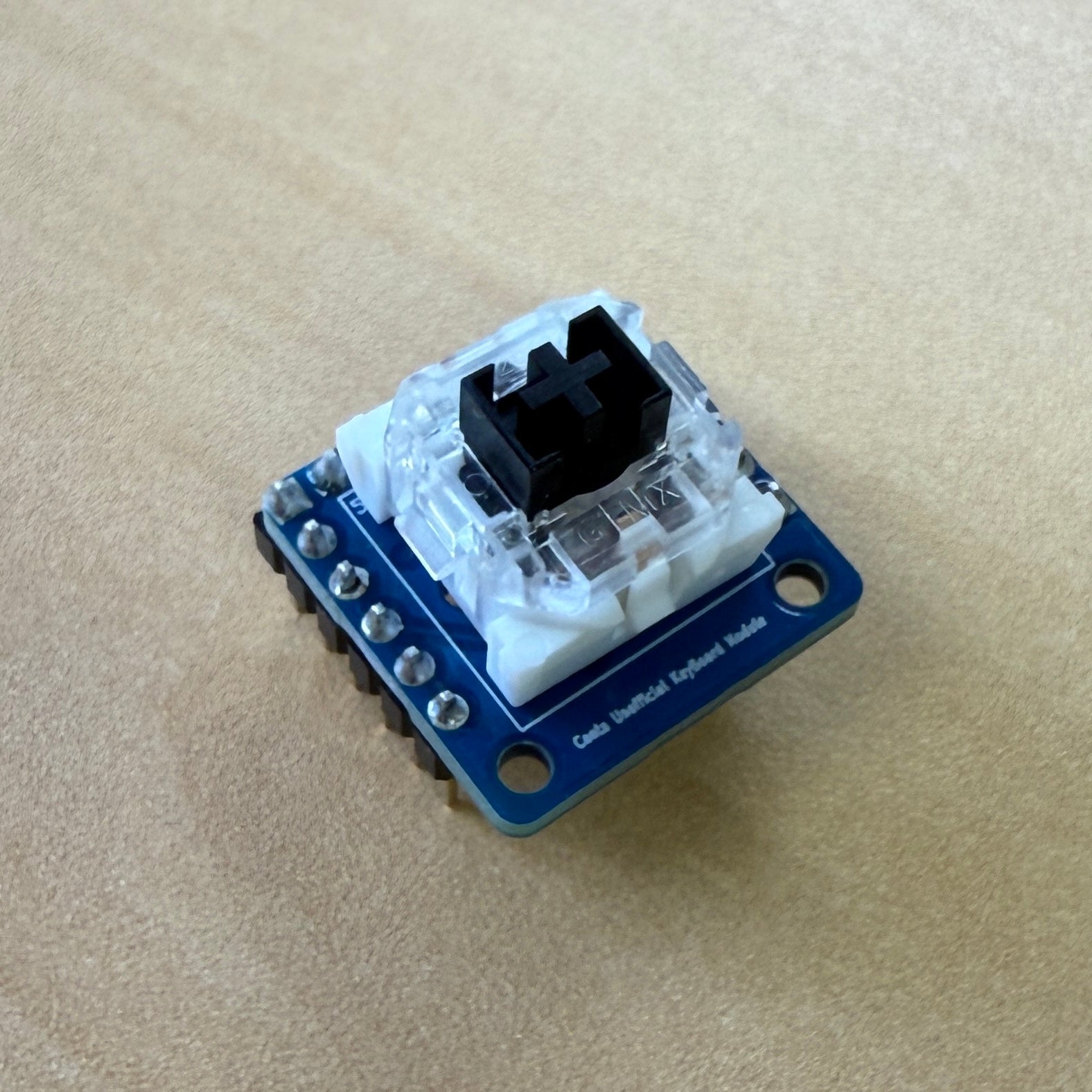 【自作キーボード】自作のConta基板で遊んでみよう!