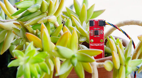 Measure Twice, Water Your Plant Once