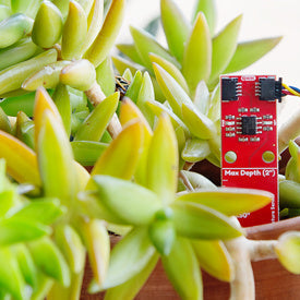 Measure Twice, Water Your Plant Once